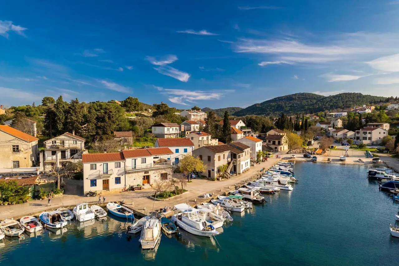 Holiday Home With Swimming Pool - Dugi Otok, Žman Vila